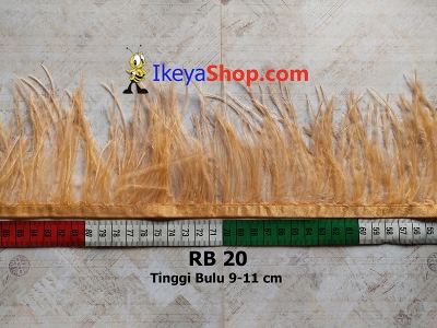 RB 20  large2